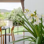 Le Dune Relax Con Cucina & Piscina