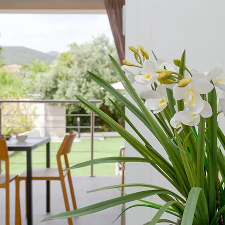 Le Dune Relax Con Cucina & Piscina